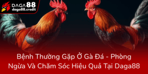 Benh Thuong Gap O Ga Da Phong Ngua Va Cham Soc Hieu Qua Tai Daga887 1