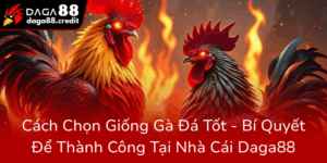 Cach Chon Giong Ga Da Tot Bi Quyet De Thanh Cong Tai Nha Cai Daga880