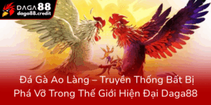 Da Ga Ao Lang Truyen Thong Bat Bi Pha Vo Trong The Gioi Hien Dai Daga880