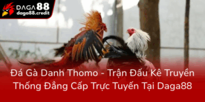Da Ga Danh Thomo Tran Dau Ke Truyen Thong Dang Cap Truc Tuyen Tai Daga880