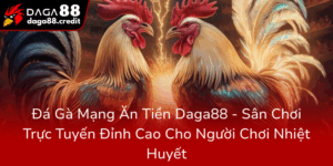 Da Ga Mang An Tien Daga88 San Choi Truc Tuyen Dinh Cao Cho Nguoi Choi Nhiet Huyet0