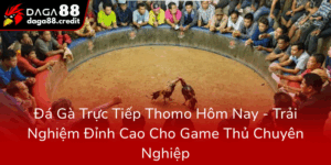 Da Ga Truc Tiep Thomo Hom Nay Trai Nghiem Dinh Cao Cho Game Thu Chuyen Nghiep0