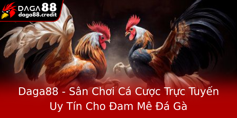 Daga88 - Sân Chơi Cá Cược Trực Tuyến Uy Tín Cho Đam Mê Đá Gà