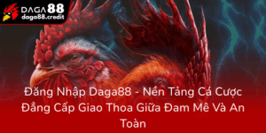 Dang Nhap Daga88 Nen Tang Ca Cuoc Dang Cap Giao Thoa Giua Dam Me Va An Toan0