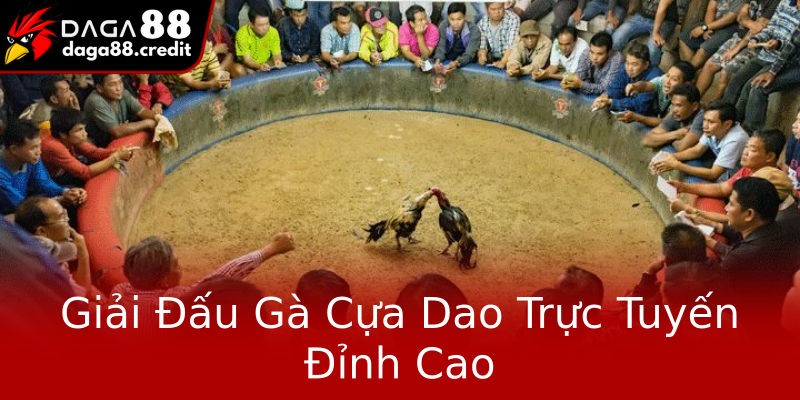Giải Đấu Gà Cựa Dao Trực Tuyến Đỉnh Cao Giải Đấu Gà Cựa Dao Trực Tuyến Đỉnh Cao