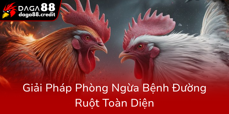Giai Phap Phong Ngua Benh Duong Ruot Toan Dien0
