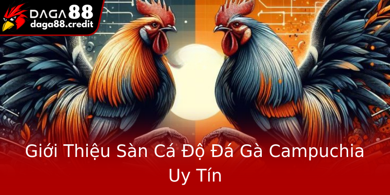 Giới Thiệu Sàn Cá Độ Đá Gà Campuchia Uy Tín