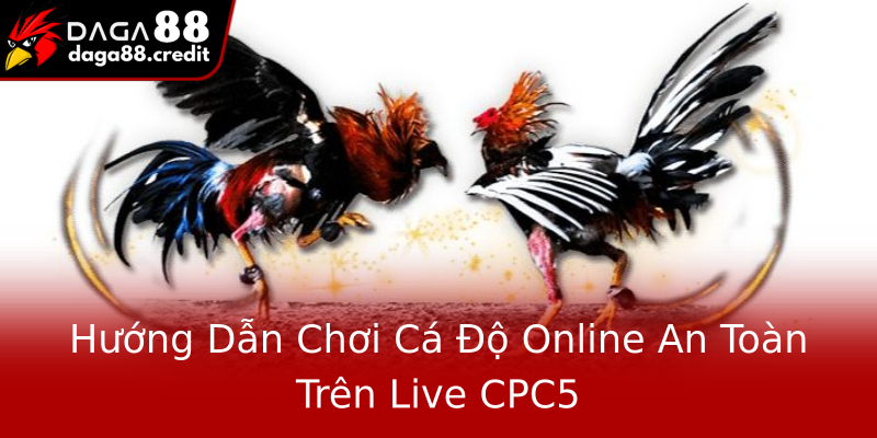 Hướng Dẫn Chơi Cá Độ Online An Toàn Trên Live CPC5 Hướng Dẫn Chơi Cá Độ Online An Toàn Trên Live CPC5