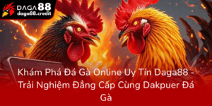 Kham Pha Da Ga Online Uy Tin Daga88 Trai Nghiem Dang Cap Cung Dakpuer Da Ga0