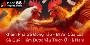 Kham Pha Ga Dong Tao Bi An Cua Loai Ga Quy Hiem Duoc Yeu Thich O Ha Nam0