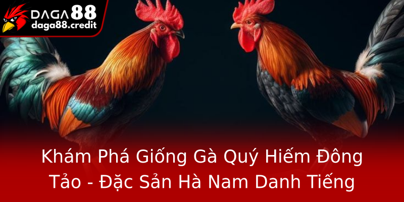 Khám Phá Giống Gà Quý Hiếm Đông Tảo - Đặc Sản Hà Nam Danh Tiếng