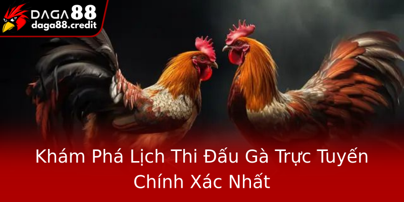 Khám Phá Lịch Thi Đấu Gà Trực Tuyến Chính Xác Nhất
