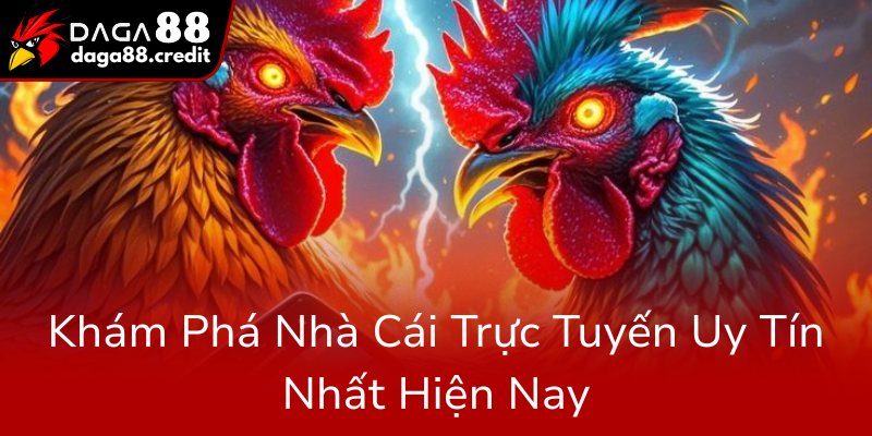 Kham Pha Nha Cai Truc Tuyen Uy Tin Nhat Hien Nay0