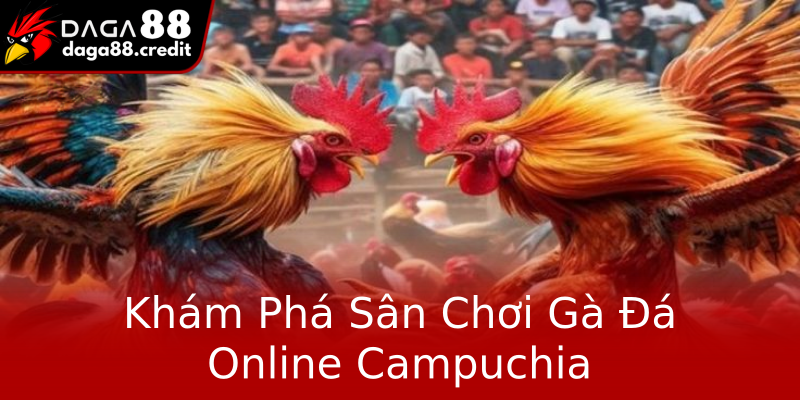 Khám Phá Sân Chơi Gà Đá Online Campuchia