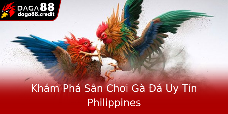 Khám Phá Sân Chơi Gà Đá Uy Tín Philippines Khám Phá Sân Chơi Gà Đá Uy Tín Philippines