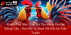 Kham Pha San Choi Ga Tau Vang Online Dang Cap Noi Hoi Tu Dam Me Da Ga Truc Tuyen0