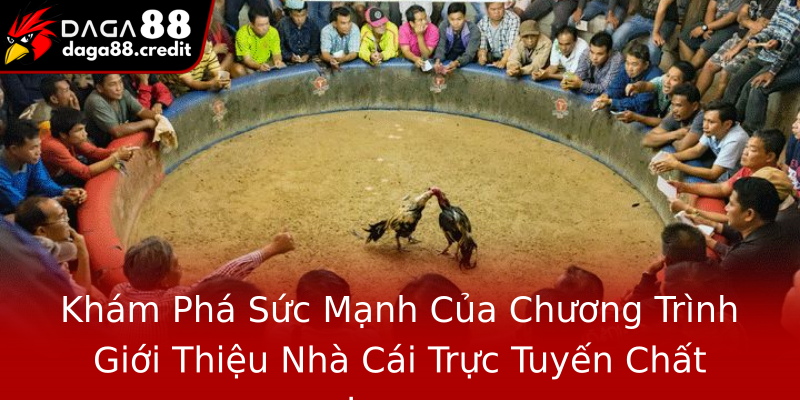 Khám Phá Sức Mạnh Của Chương Trình Giới Thiệu Nhà Cái Trực Tuyến Chất Lượng