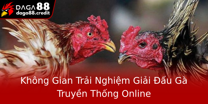 Không Gian Trải Nghiệm Giải Đấu Gà Truyền Thống Online