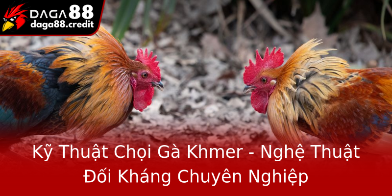 Kỹ Thuật Chọi Gà Khmer - Nghệ Thuật Đối Kháng Chuyên Nghiệp Kỹ Thuật Chọi Gà Khmer - Nghệ Thuật Đối Kháng Chuyên Nghiệp