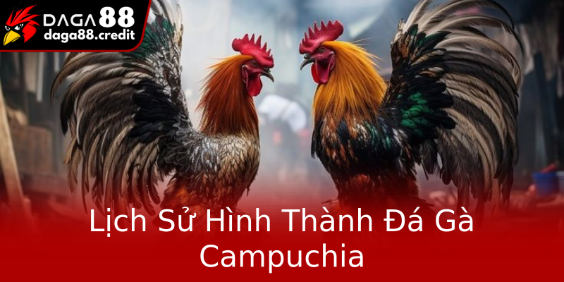 Lịch Sử Hình Thành Đá Gà Campuchia Lịch Sử Hình Thành Đá Gà Campuchia