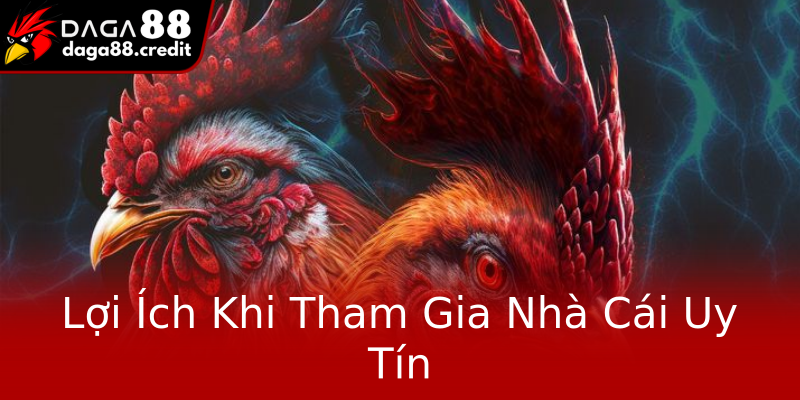 Lợi Ích Khi Tham Gia Nhà Cái Uy Tín