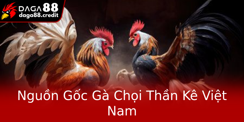 Nguồn Gốc Gà Chọi Thần Kê Việt Nam