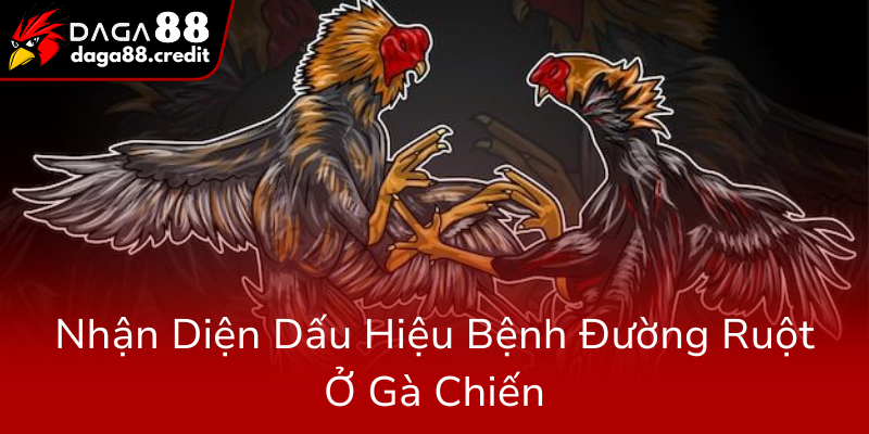 Nhan Dien Dau Hieu Benh Duong Ruot O Ga Chien0