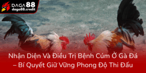 Nhan Dien Va Dieu Tri Benh Cum O Ga Da Bi Quyet Giu Vung Phong Do Thi Dau0