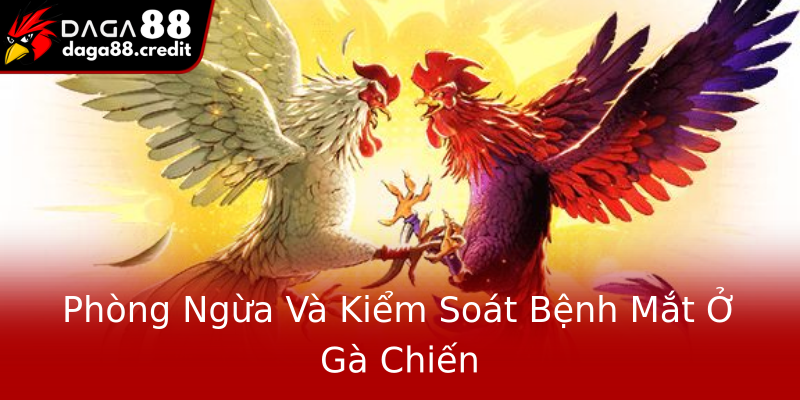 Phòng Ngừa Và Kiểm Soát Bệnh Mắt Ở Gà Chiến Phòng Ngừa Và Kiểm Soát Bệnh Mắt Ở Gà Chiến