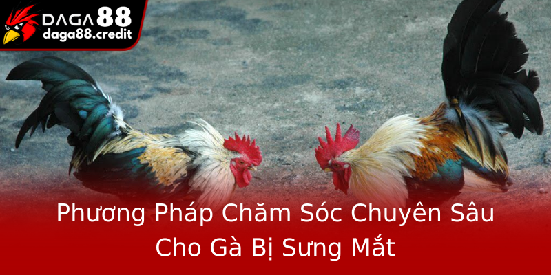 Phương Pháp Chăm Sóc Chuyên Sâu Cho Gà Bị Sưng Mắt Phương Pháp Chăm Sóc Chuyên Sâu Cho Gà Bị Sưng Mắt