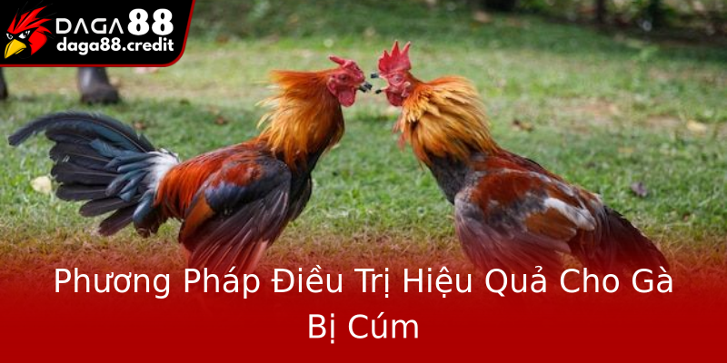 Phương Pháp Điều Trị Hiệu Quả Cho Gà Bị Cúm