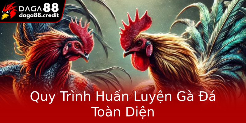 Quy Trình Huấn Luyện Gà Đá Toàn Diện