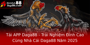 Tai App Daga88 Trai Nghiem Inh Cao Cung Nha Cai Daga88 Nam 2025