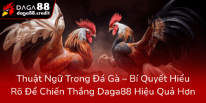 Thuat Ngu Trong Da Ga Bi Quyet Hieu Ro De Chien Thang Daga88 Hieu Qua Hon0