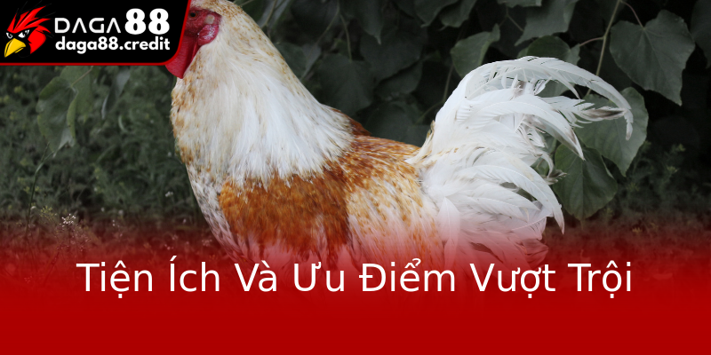 Tiện Ích Và Ưu Điểm Vượt Trội