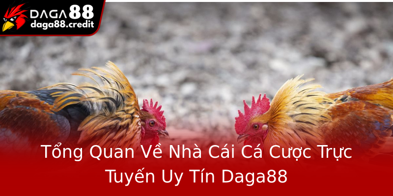 Tổng Quan Về Nhà Cái Cá Cược Trực Tuyến Uy Tín Daga88