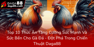 Top 10 Thuc An Tang Cuong Suc Manh Va Suc Ben Cho Ga Da Dot Pha Trong Chien Thuat Nha Cai Daga880